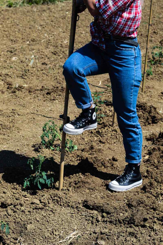 Piantacanne TechOrto utilizzato per piantare tutori nell’orto stando in piedi.