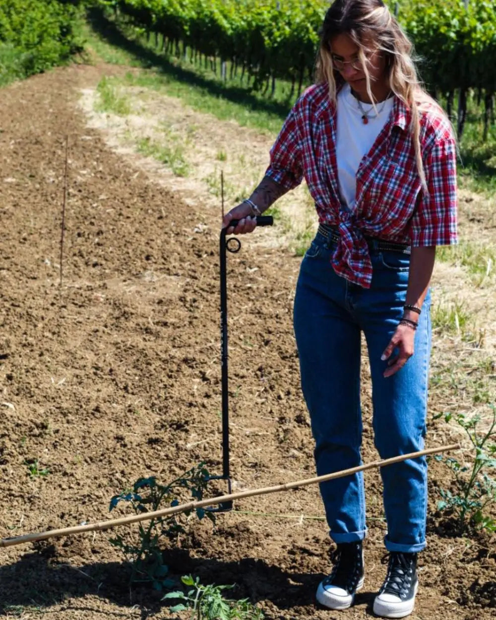 Canne da orto perfettamente allineate e piantate con l'attrezzo professionale Piantacanne TechOrto.