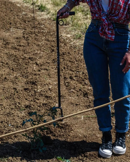 piantacanne raccoglie canna da terra senza doversi chinare