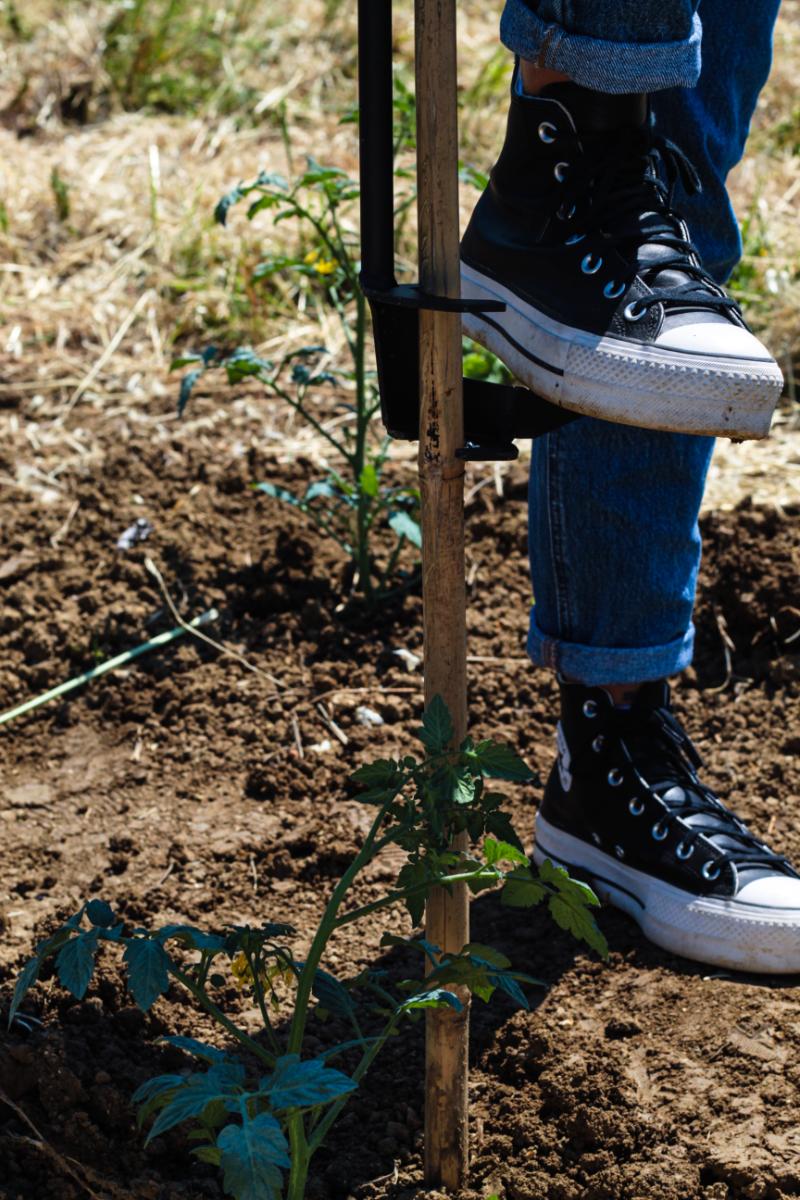 Piantacanne TechOrto utilizzato in campo per piantare tutori
