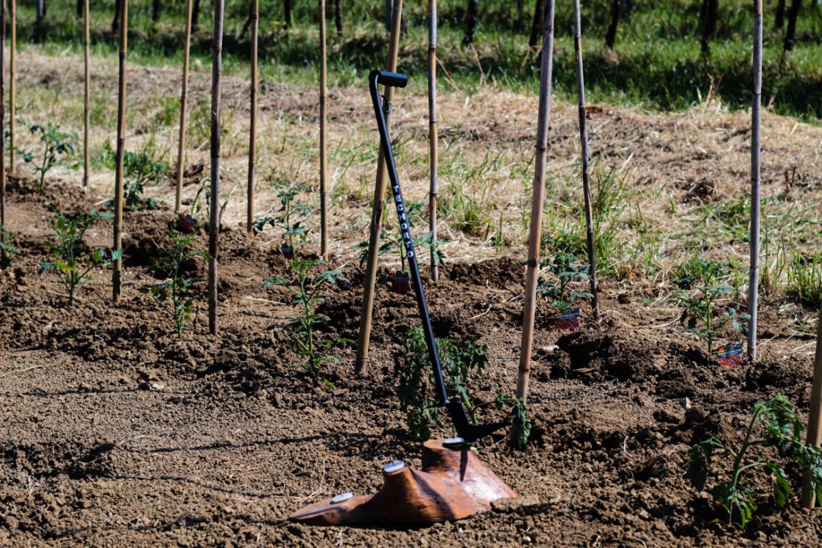 Piantacanne TechOrto con confezione