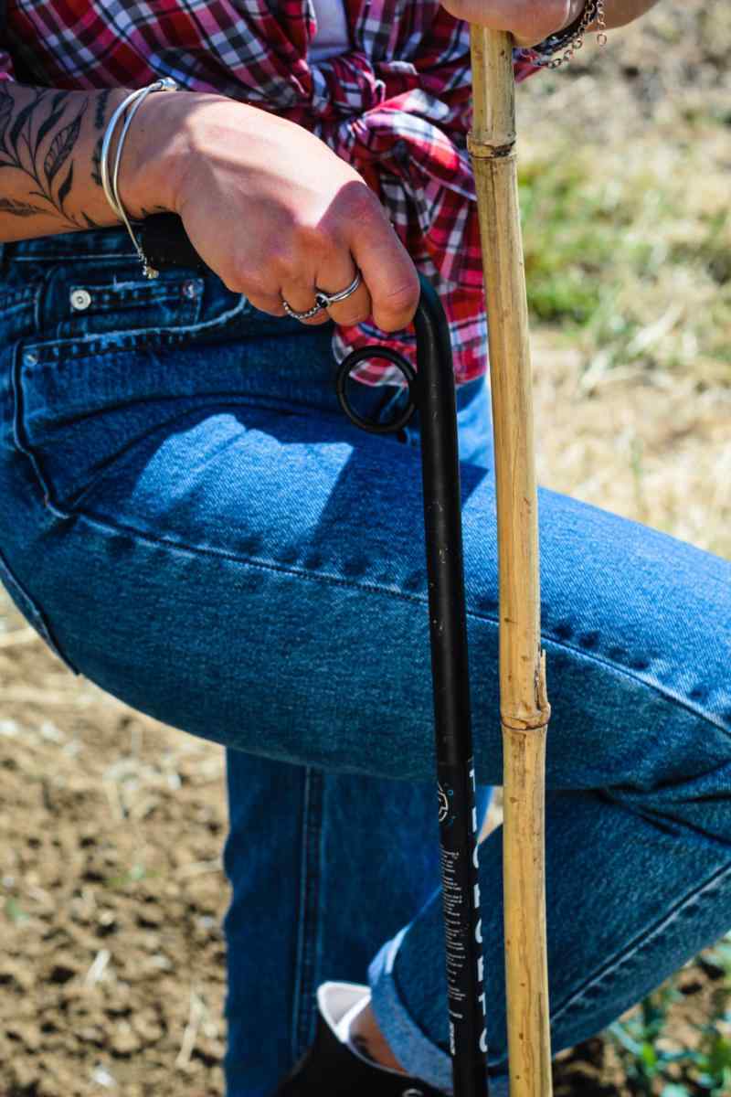 Dettaglio della canna posizionata nel Piantacanne TechOrto prima di piantarla nel terreno.