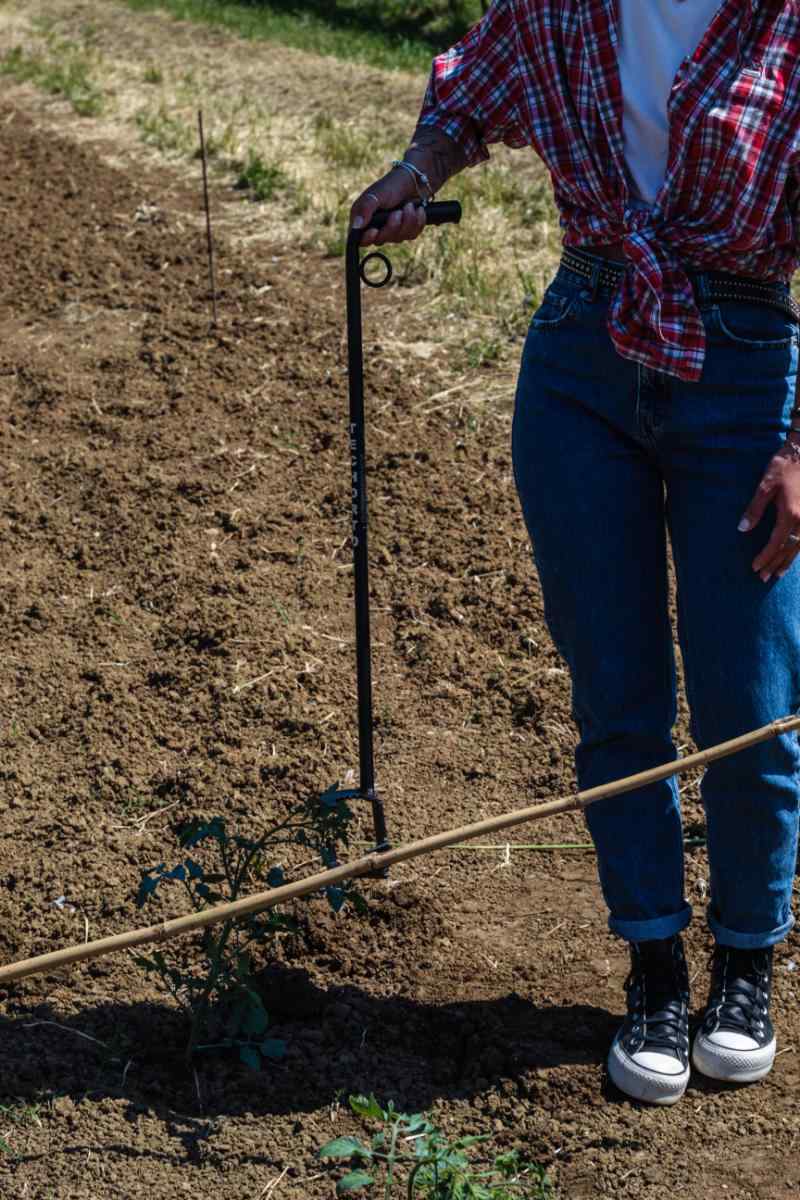 Piantacanne TechOrto usato per raccogliere un tutore da terra senza piegarsi.